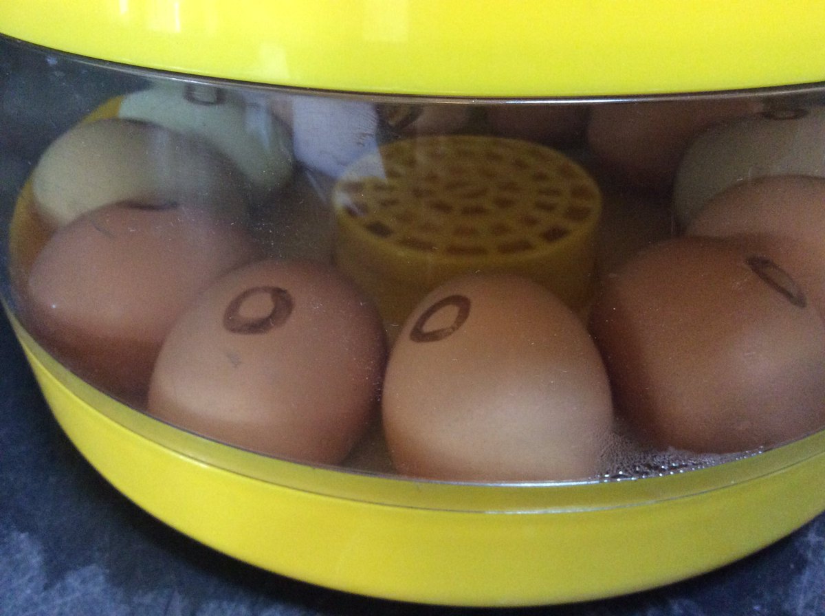 St Cedd's C of E tweet media