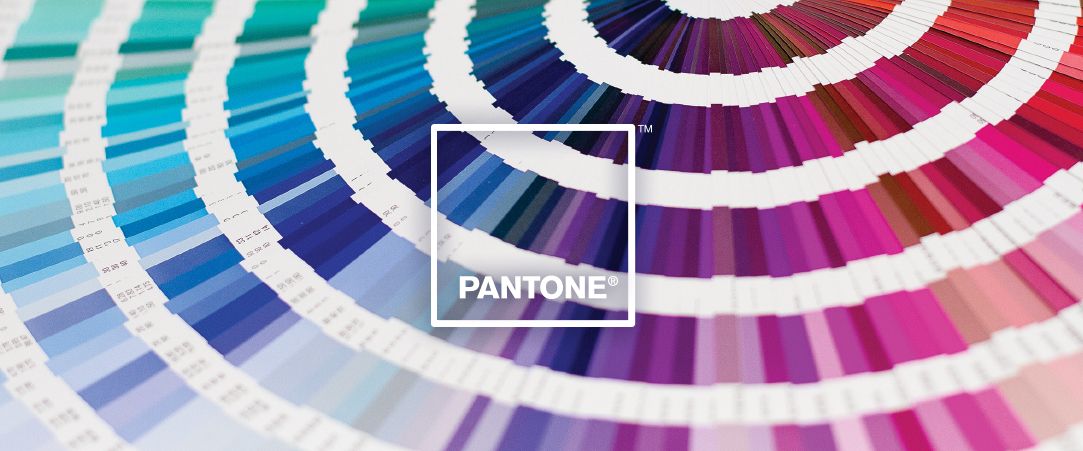 nsimplicity_bb's tweet photo. If you're going to start shopping for spring/summer soon, keep these colours in mind! https://t.co/66vWwaOXjI https://t.co/6Wd7yloHIf