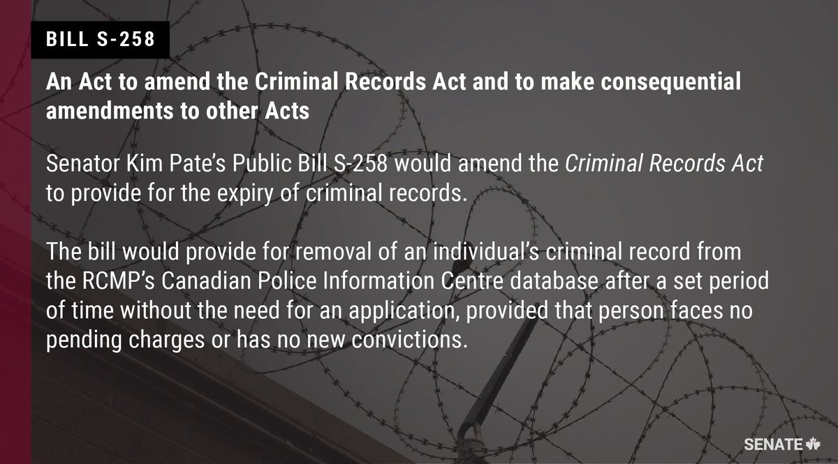 SenateCA's tweet photo. Senators are now discussing Senator @KPateontheHill's Bill #S258 at second reading in the Senate: https://t.co/Lee3osMlh9 #SenCA #cdnpoli https://t.co/RKIr98gIJB