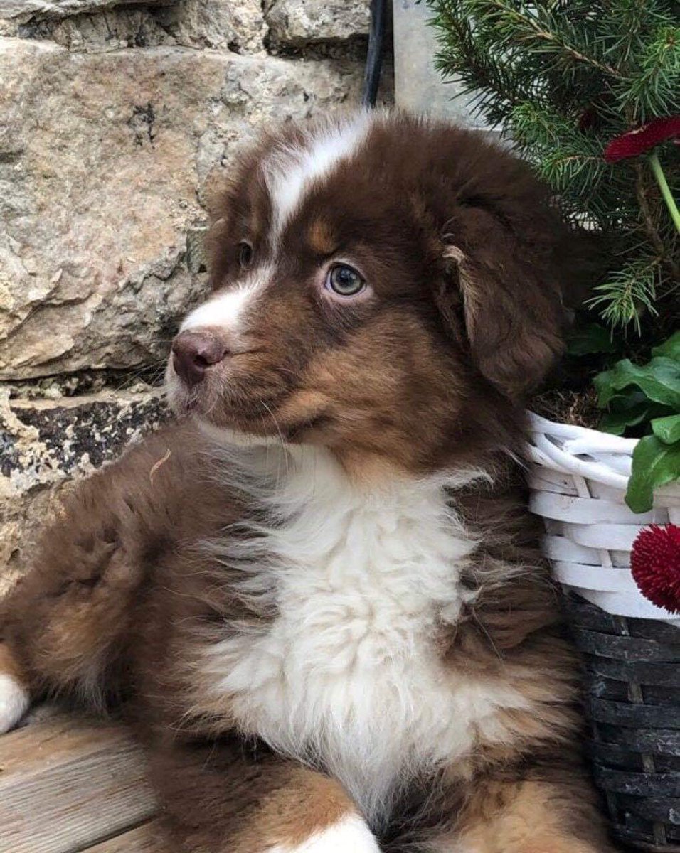 NonamCrs's tweet photo. N’est-il pas grandiose ? 🥰 https://t.co/p2G4uaeItT