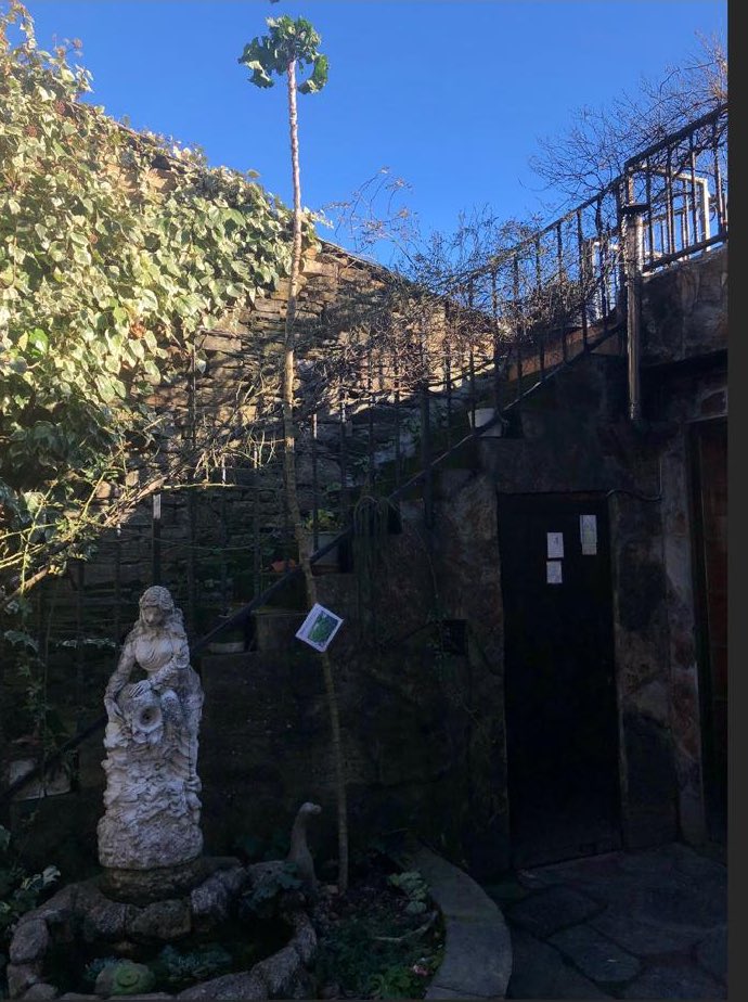 <a href="/TVGalicia/">TVG</a>  hoxe <a href="/lavozdegalicia/">La Voz de Galicia</a>  publica unha noticia sorprendente de unha berza de 3.15 metros, aquí vos deixamos a nosa  de 4,15 metros, podedes vir e medila vos mesmos.#triacastelacalidade