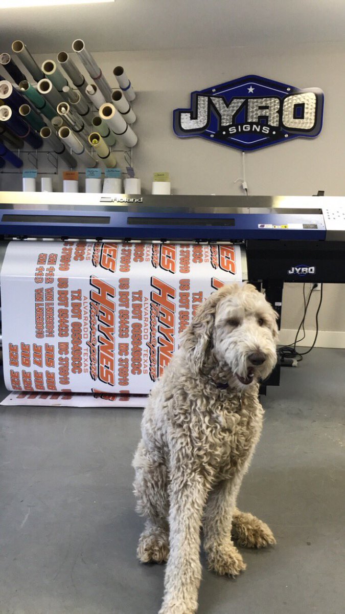JyroSigns's tweet photo. Good day of production here at the shop. Also have our mascot helping us out. https://t.co/e8J7LvcvJL