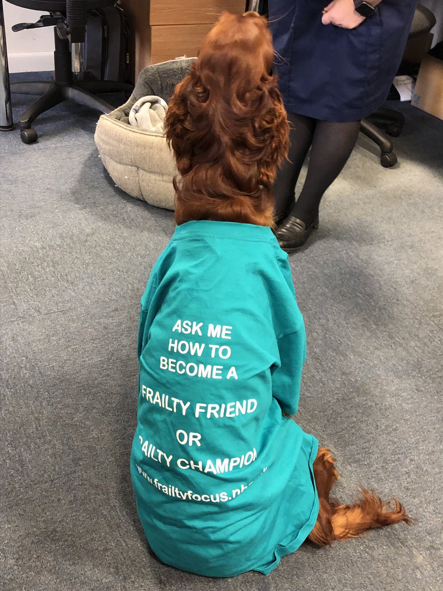 AuntieTats's tweet photo. So Gwennie came into help Avon Valley ICT & Frailty Team today. She become a member of Frailty Friend. #FrailtyFriends @Southern_NHSFT #TheQNI @GaryCleeve @TheQNI @FrailtyFriends https://t.co/UhHlnIx6eP