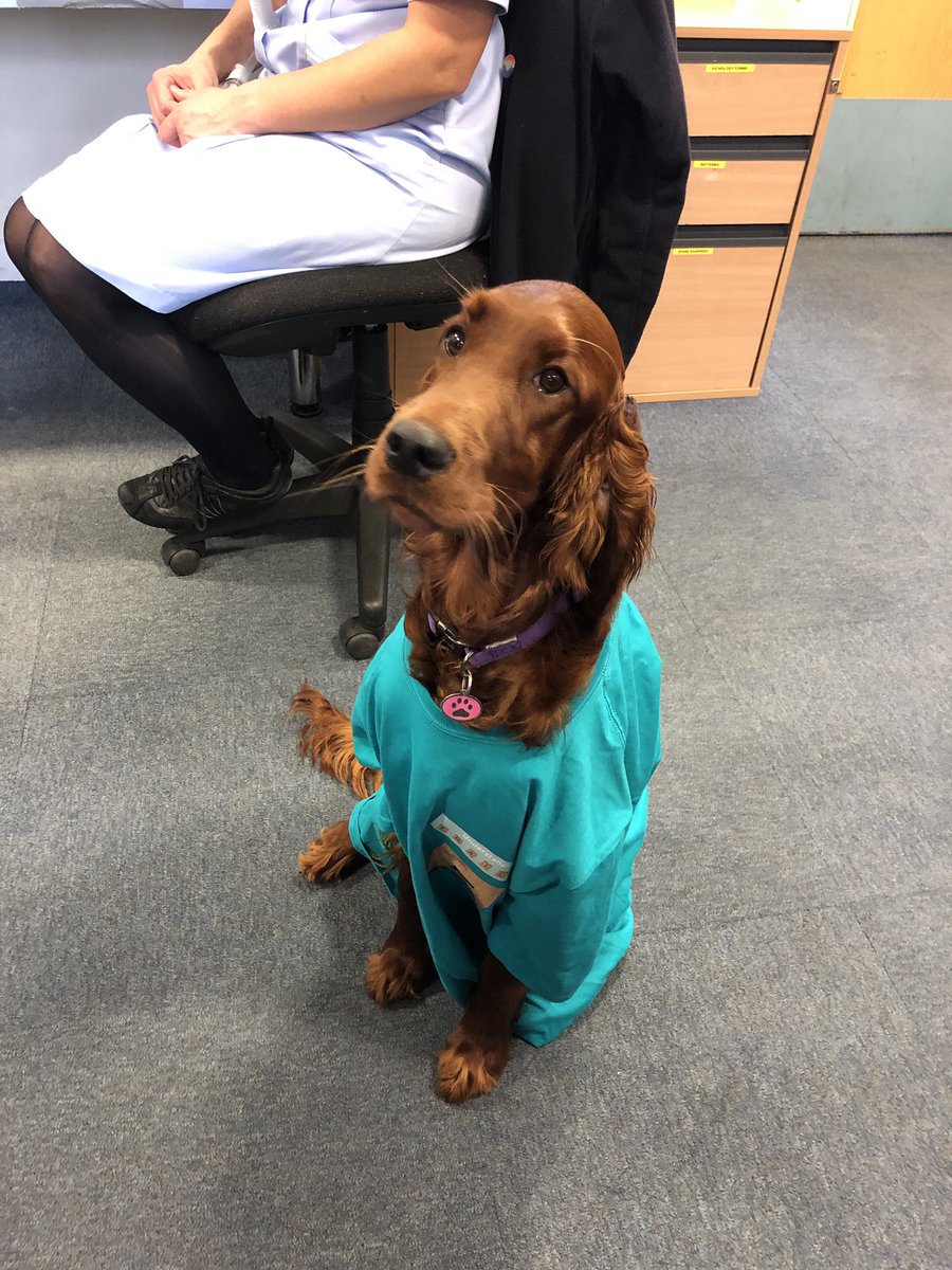 AuntieTats's tweet photo. So Gwennie came into help Avon Valley ICT & Frailty Team today. She become a member of Frailty Friend. #FrailtyFriends @Southern_NHSFT #TheQNI @GaryCleeve @TheQNI @FrailtyFriends https://t.co/UhHlnIx6eP