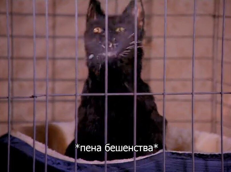 oxxighen's tweet photo. *обсирание к-поп, поцелуй Маринетт и Адриана, слив Назарбаева* https://t.co/RWH4DmOmg5