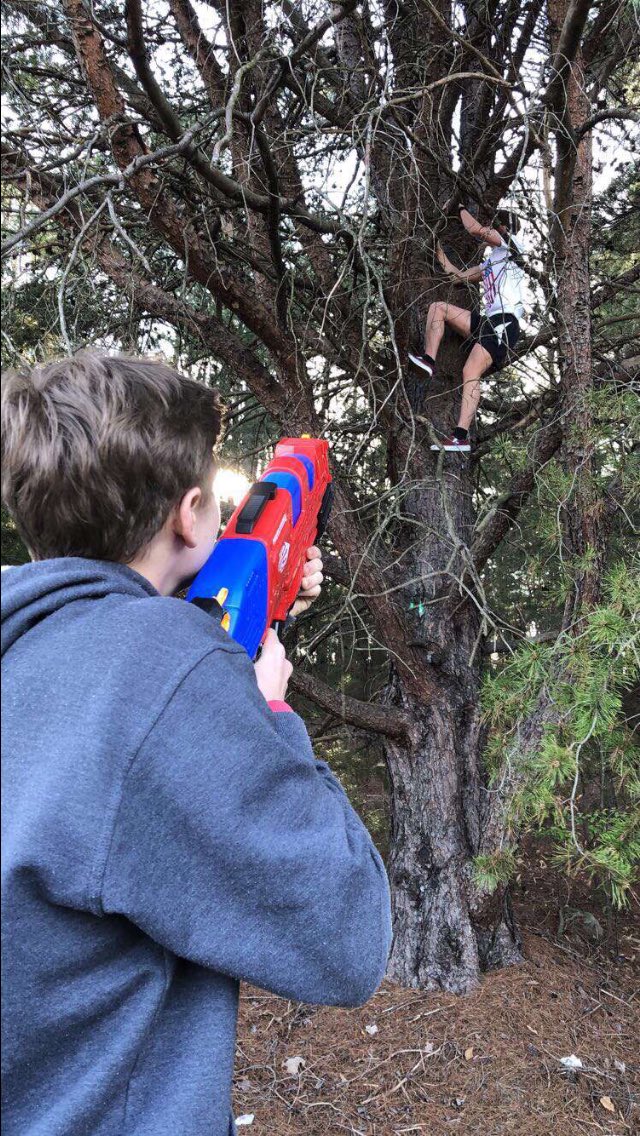 Andrew_mus's tweet photo. Money really does grow on trees  @FMassassin19 https://t.co/sEL3cgFbRy