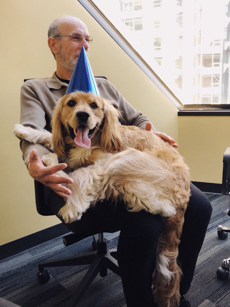 GottmanInst's tweet photo. #MakeWorkFunBy celebrating the office dog’s birthday! #ItsAPawty https://t.co/fTUHYz2dkQ