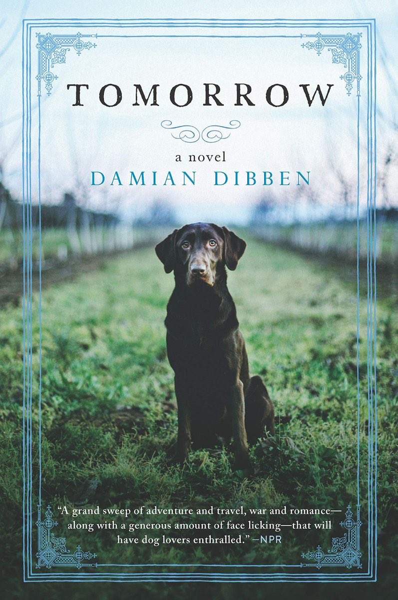 DamianDibben's tweet photo. Today’s the day. Tomorrow. 🇺🇸 Paperback. Out now! https://t.co/ujfFTppT37