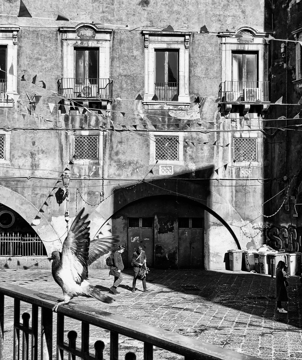 Ali_c3's tweet photo. Attimi.
#bnwphotography #streetphotography #piscaria #catania https://t.co/gh4pj0Ndc9