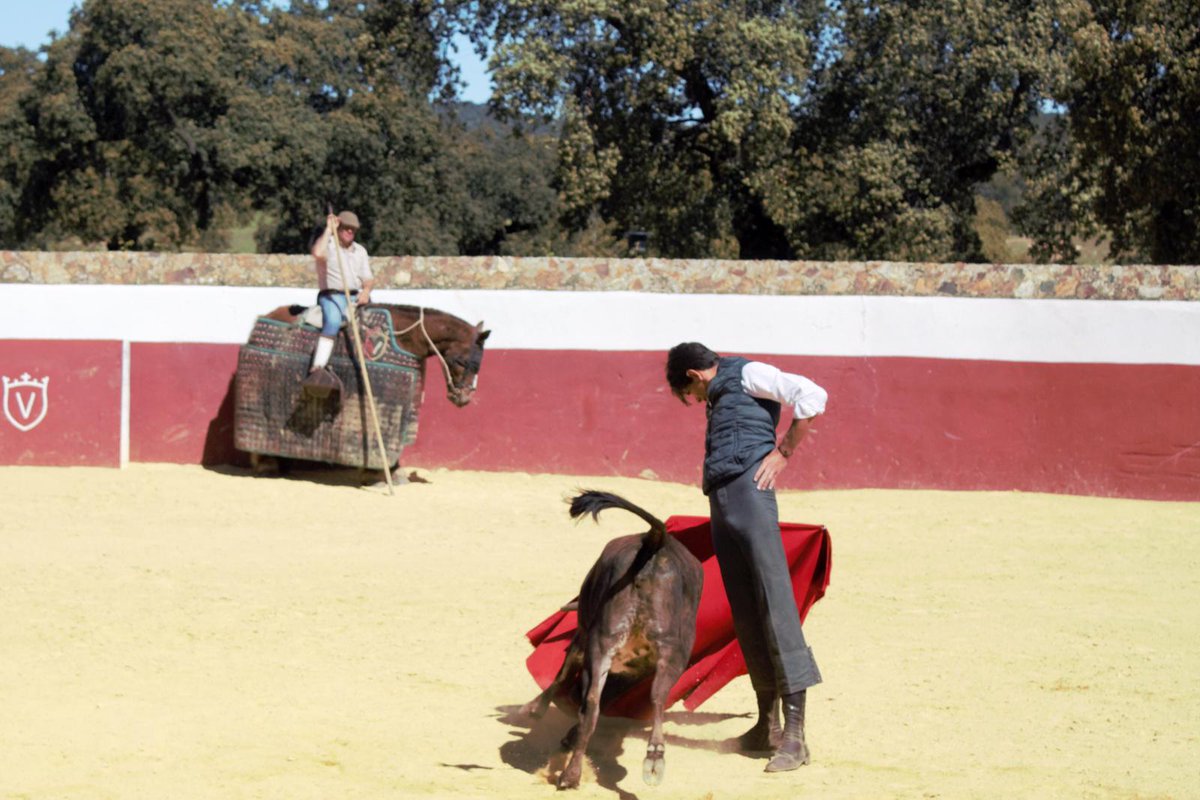 agudo86's tweet photo. @javitaurino Pues alguno ay con ese concepto puro y clásico ,,como este @Curro_Moreno de Baeza (Jaén) https://t.co/iX8oN81ltD