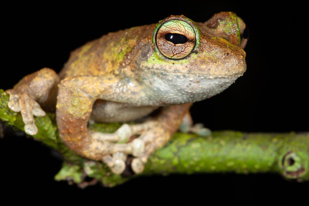 пойдет, вэйт а
