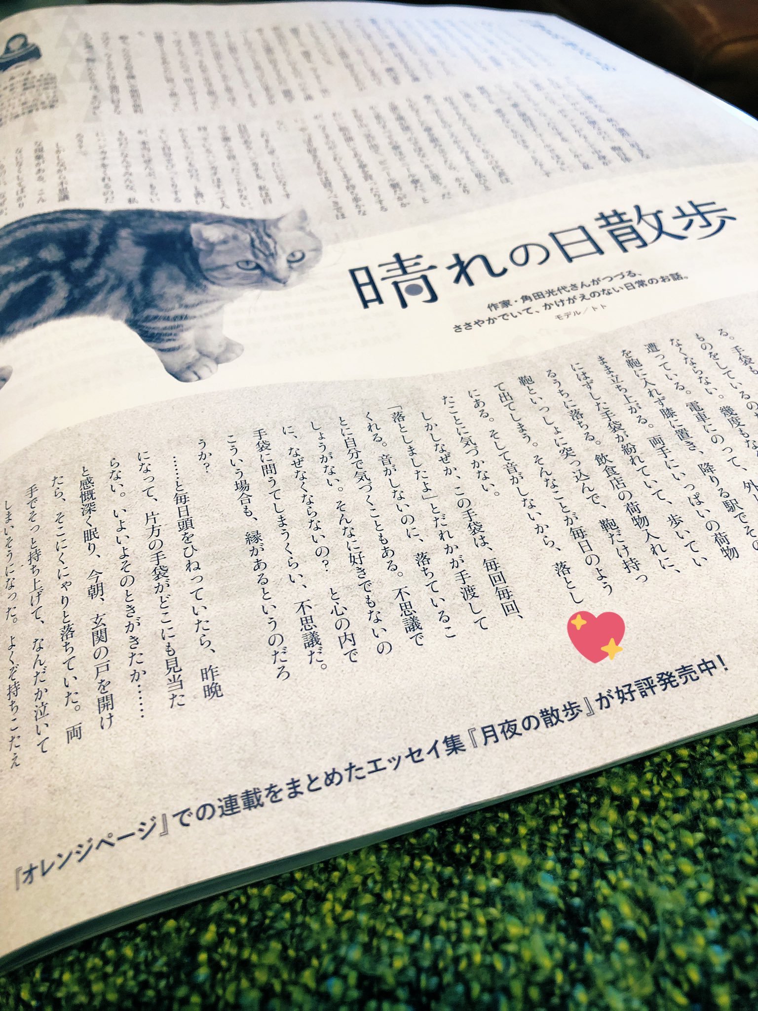 ツキ エビバデなんですね 角田光代さん 連載をまとめたエッセイ集のタイトルが月夜の散歩って 月夜の散歩 T Co A1kh6k3az2 Twitter