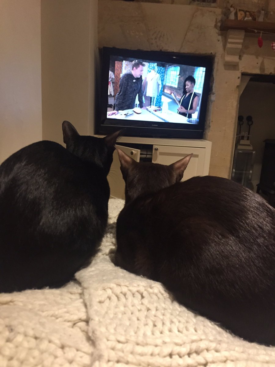 HeatherGillard's tweet photo. Enjoying tv tonight #sewingbee https://t.co/z2F5sHydsc