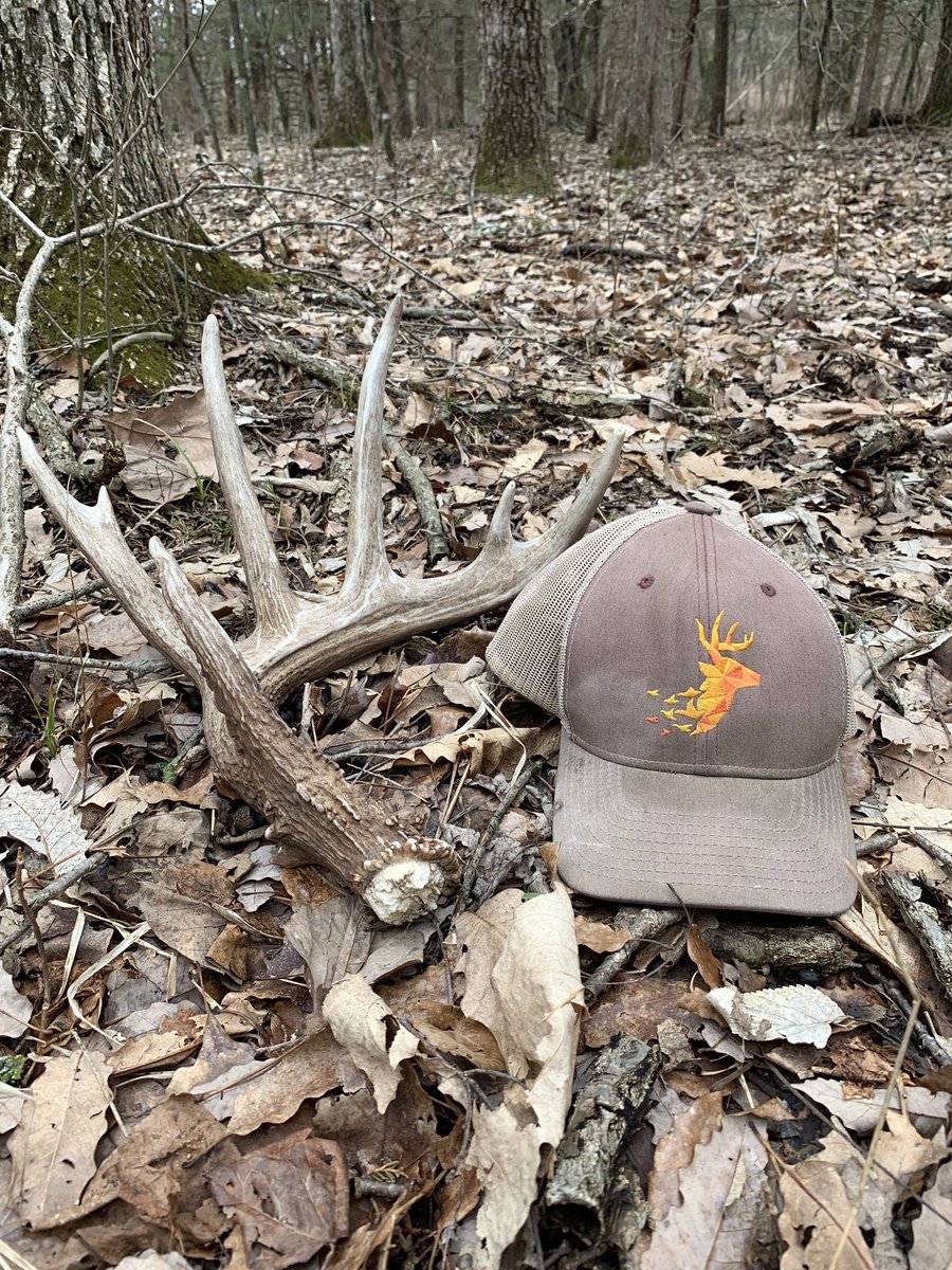BEOUTDOORScom's tweet photo. Finally found a nice one. Excited about this deer! He should be hitting his prime this year!
#ShedHunting #BrownGold #Tinesup #shed #rub #deersign #whitetail #hunt #DeerHunter #Antlers #DeerRub #DeerAntlers #Recreation #scouting https://t.co/Iz0VcfTv57