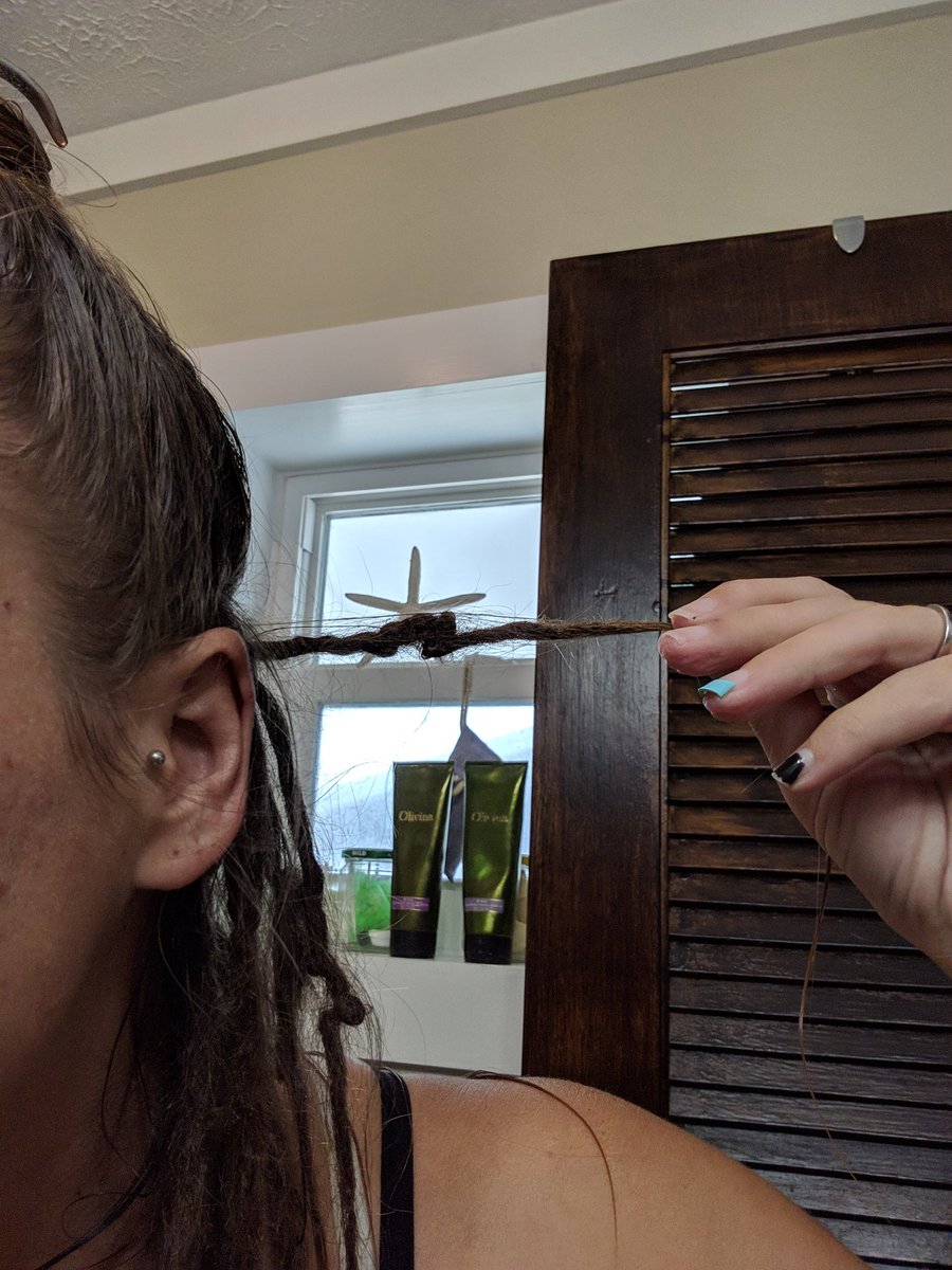 SierrasLocks's tweet image. Did a baking soda and deep clean today and the one year old dread babies shrunk up a LOT!! #dreadlocks #partialdreads #locks