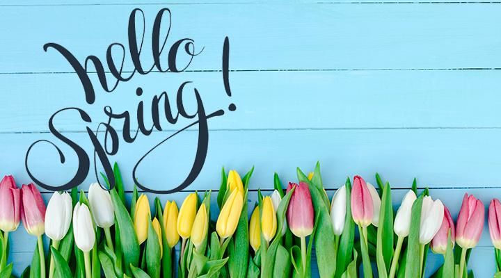 greenlinepaper's tweet photo. It's the first day of Spring! Hooray! 🌼 https://t.co/B8y3HYu9ih