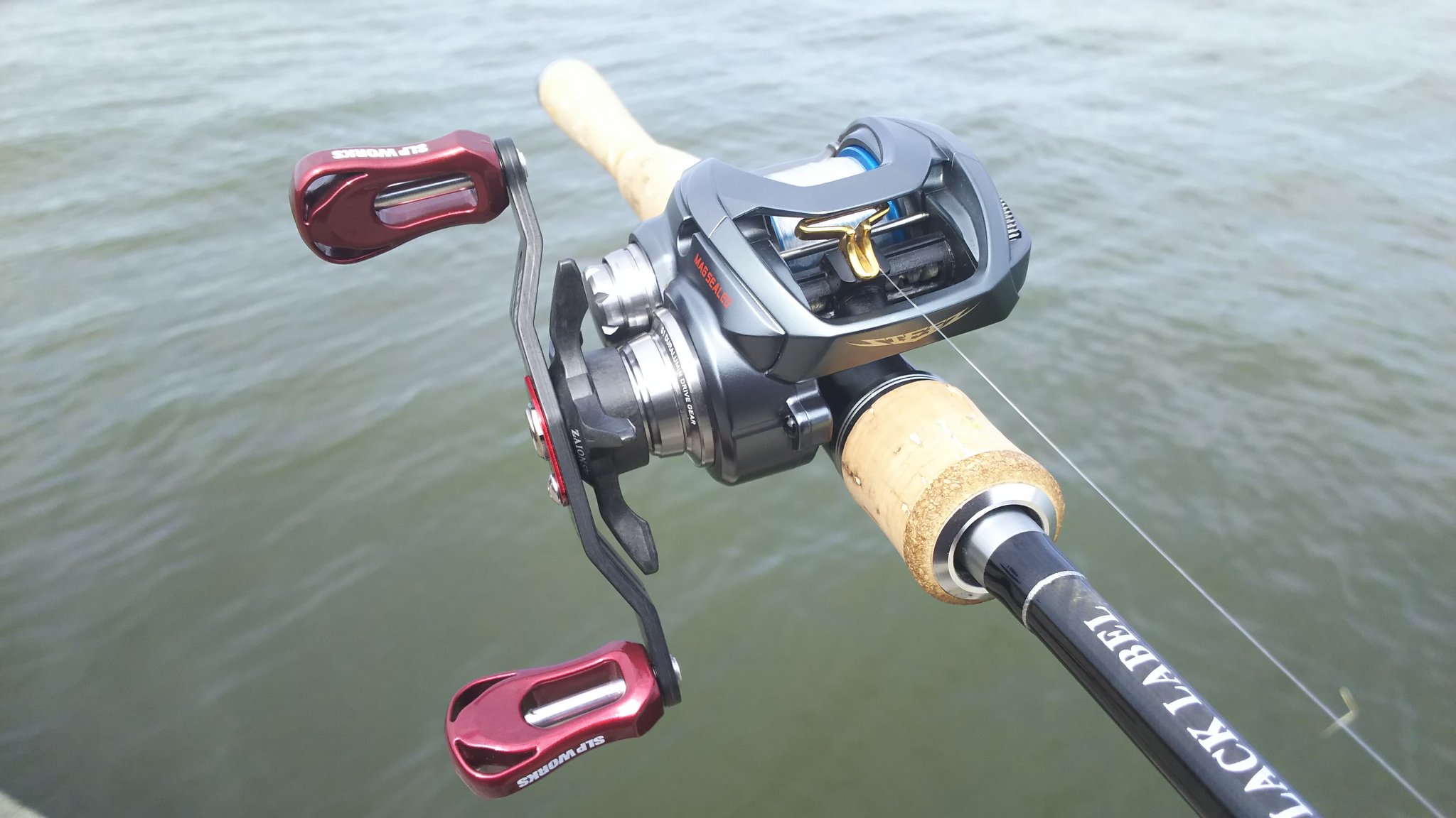 たか Bl Steez スピニングタックルを持っていないのでスティーズをベイトフィネス化してみた リール スティーズ A Tw スプール フィネススプール ハンドル 95mmカーボンハンドル ノブ ザイオンノブ スプールのベアリングをセラミック化 スティーズ