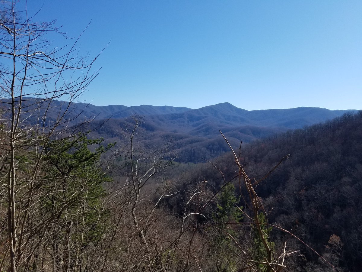 ASBOkstate's tweet image. After a day of service, we headed to Great Smoky Mountains National Park! We hiked 2.6 miles to the beautiful Laurel Falls! A group that serves together, hikes together! #service #springbreak #asb2019 #okstate #alternativespringbreak #smokeymountains