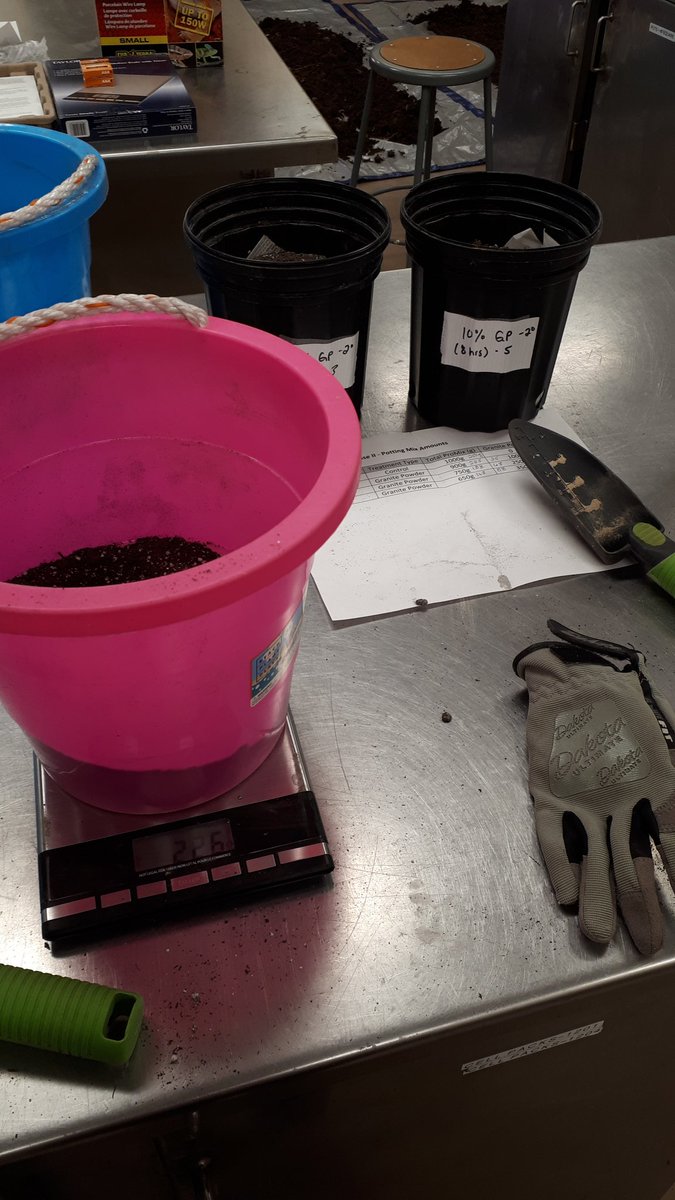arielvallis's tweet photo. We have been busy this week in the #EATLab setting up a research project for strawberry pot trials at the @nscc Kingstec campus 🍓 #appliedresearch https://t.co/fMaDf44uU2