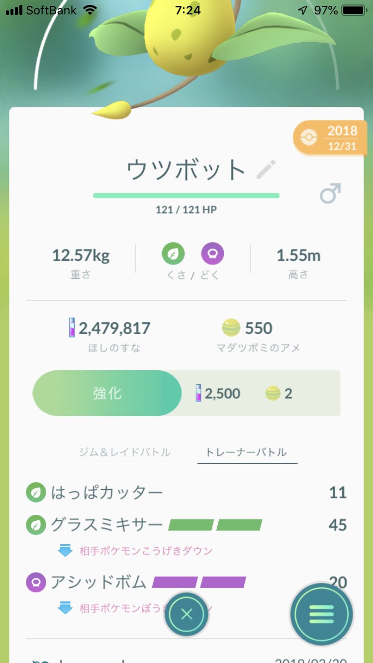 再現する 失望させる インペリアル グラスミキサー Go 海賊 昆虫 ファシズム