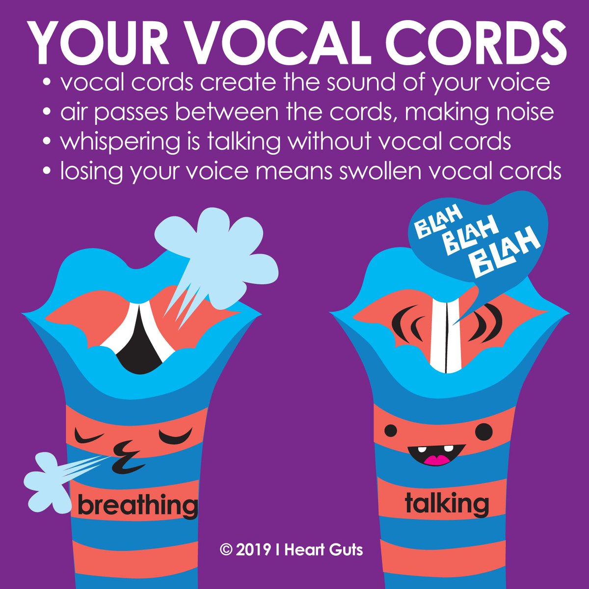 Another fascinating fact? The #hormone #testosterone elongates the #vocalcords, which leads to a deeper — and sometimes squeaky — #voice during #puberty.

#larynx #trachea #voicebox #otolaryngology #tracheostomy #laryngomalacia #laryngitis #anatomy #anatomyfacts