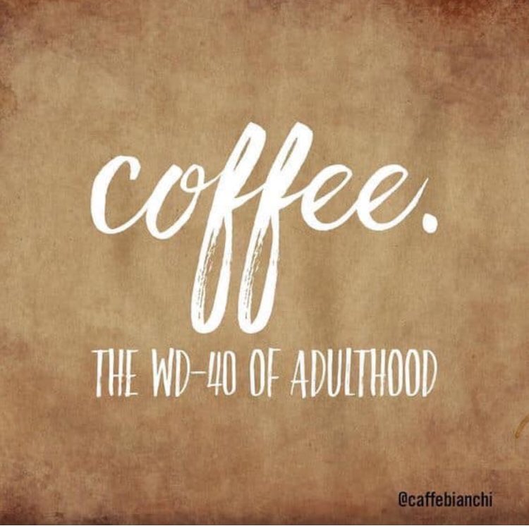 KateHirst4's tweet image. You drink it anyway! So....drink a cup of mine that will help you achieve your summer swimsuit bod, give my tired moms energy, and decrease the perpetual brain fog! I got you!!!!
#30daymoneyback #cocoatoo #smartcapsules