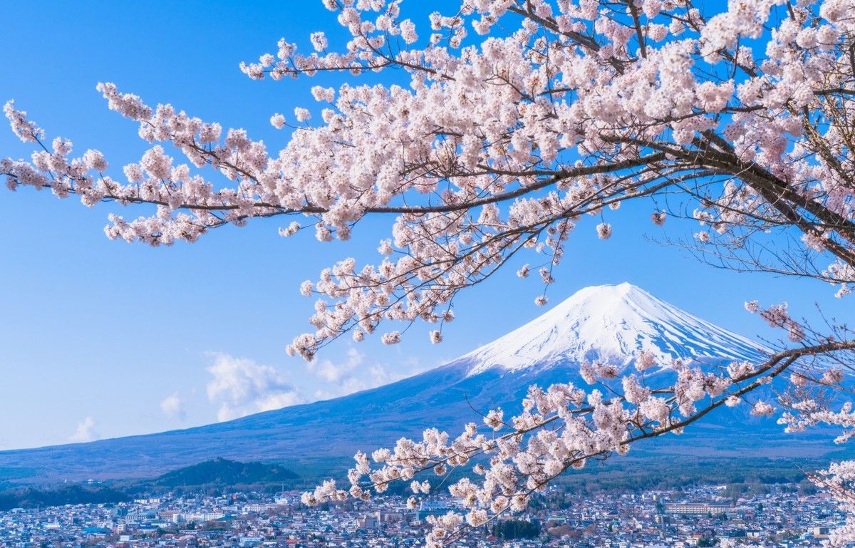 AllAbout_Japan's tweet photo. According to the #forecast, the first cherry blossoms should be blooming any day now! If you're traveling in Japan and want to catch a glimpse of these beauties, be sure to check it out! 🌸
https://t.co/JLBehQFP68
#AllAboutJapan #CherryBlossoms #Sakura #Spring https://t.co/CHDOtMq4JO