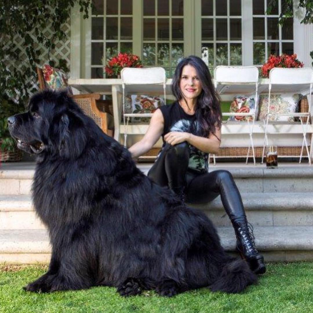 marthadebayle tweet media