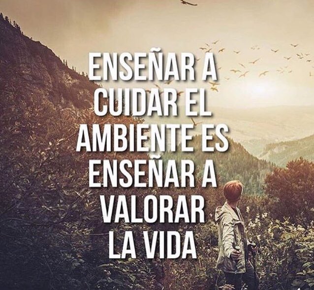 biotransito's tweet photo. Si entre todos aprendiéramos a valorar la vida no estaríamos dañando nuestro ambiente nuestro gran y único hogar 
.
#biotransito #biodegradable #biodegradables #bolsabiodegradable #biodegradabilidad #bioplastico #bioresina #compostable #ambiente #ecologia #concienciaambiental https://t.co/7rLx3UiVHG