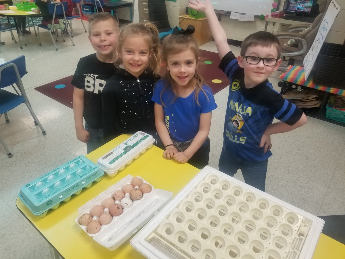 SawyerKinder's tweet photo. Exciting day in Kindergarten setting our eggs! Hopefully we will have chicks in 21 days 🤞🐣🐤😀🐓 #lifecycleofachicken #MCEalwayslearning https://t.co/BOU6lgE4CL