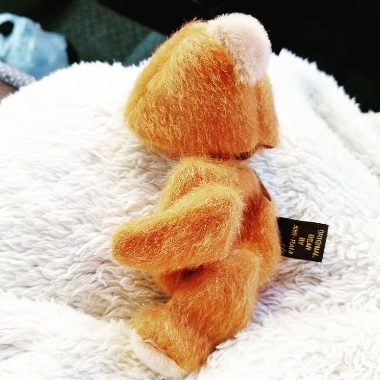 テディベア Mi Rai 長野珠良衣 Mirai Teddy Twitter