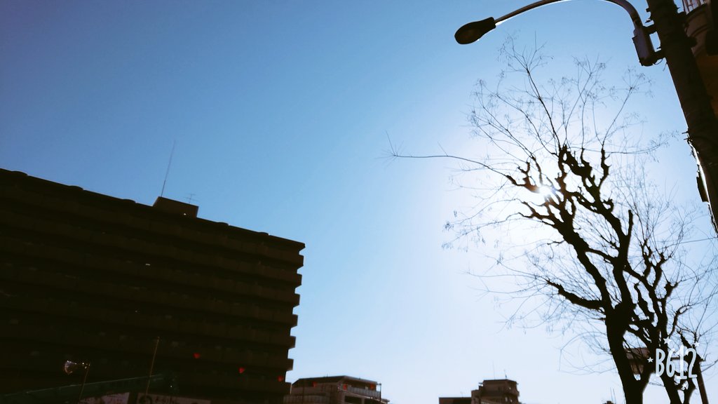 k_kinoshita10's tweet image. 皆、おはよう😃

明日はライブ🎸🎤

池袋CANOPUSでお待ちしてます⭐ご予約受付中！

今日もいい天気だ！１日頑張ろう(^-^)

#池袋CANOPUS 
#晴れ