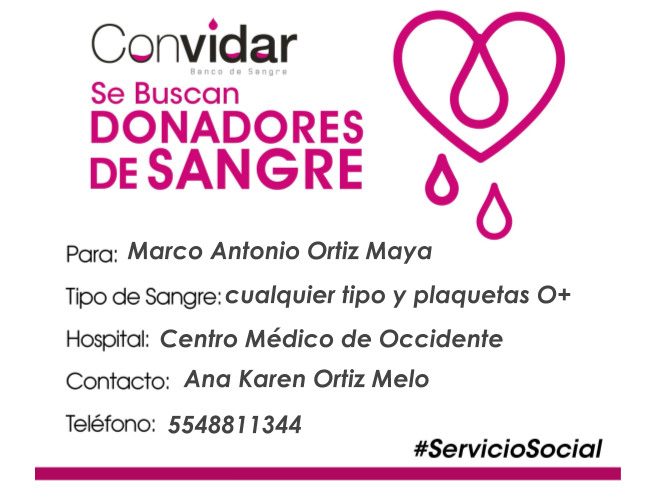 ConvidarBanco's tweet photo. ¡Solicitamos apoyo URGENTE!

Requerimos 5 donadores altruistas de sangre de cualquier tipo y plaquetas O+, para Marco Antonio Ortiz Maya, en el Centro Médico de Occidente, servicio de Cardiocirugía.

¡Compártelo y ayúdanos a ayuDAR! #GDL #ServicioSocial https://t.co/K96vayJ4Wl