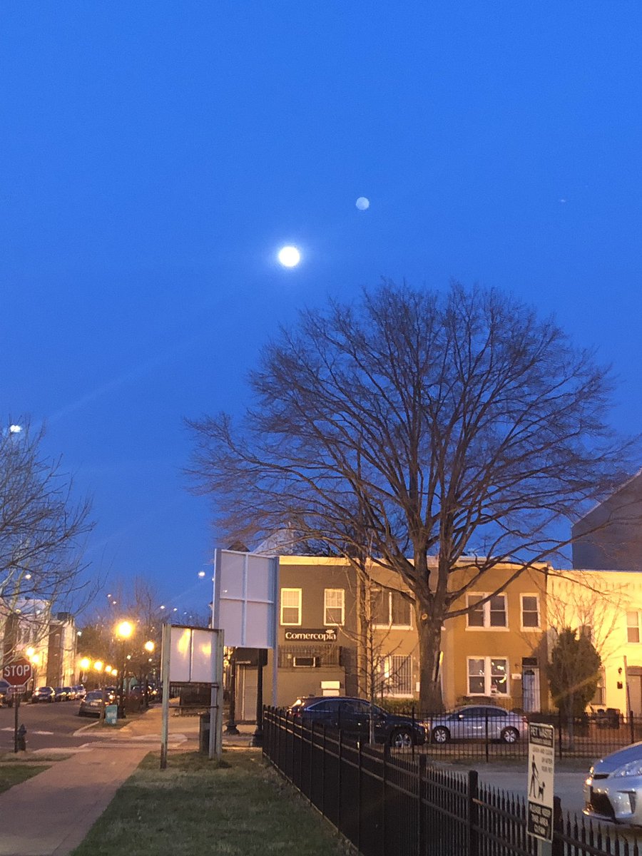 LostLagers's tweet photo. Beautiful moon out over #dcbrews land which means whoever is brewing Tmavy tonight is sure to win gold #lager #lagerbier #lezak #tmavy #pivo https://t.co/UXvrs5omZx