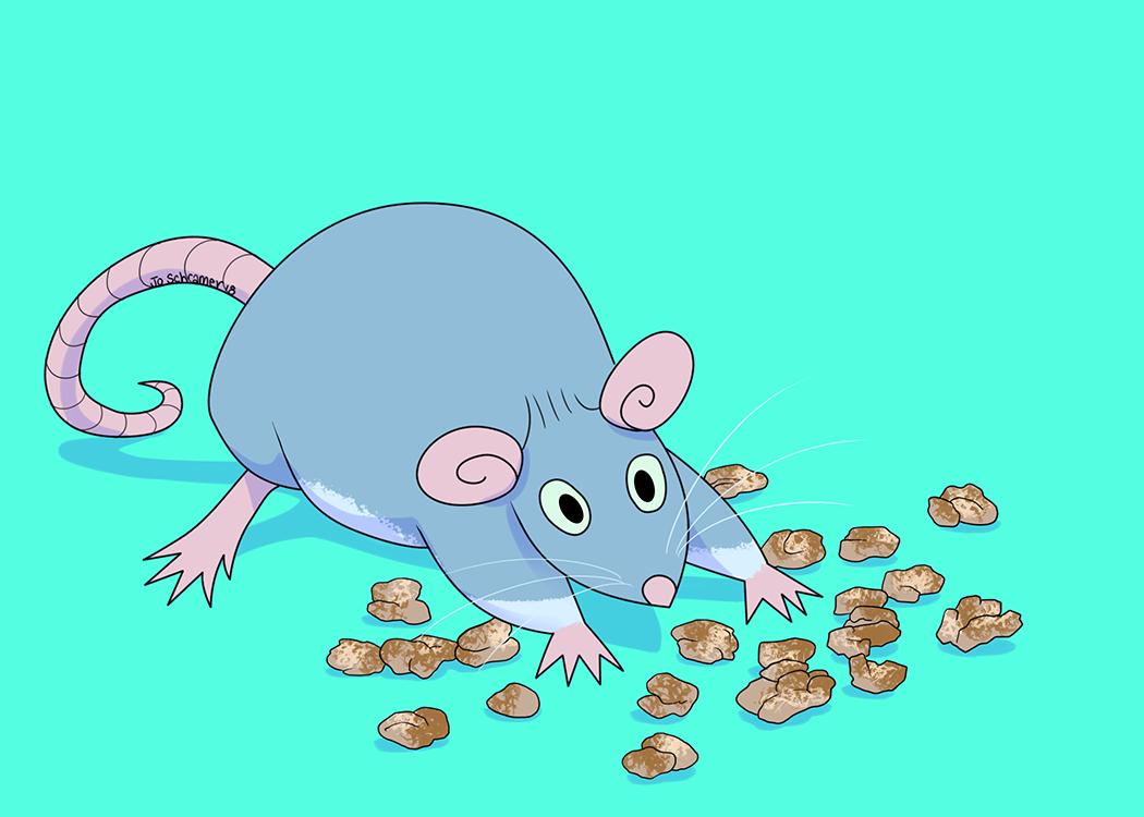 Jo Schramer tweet media