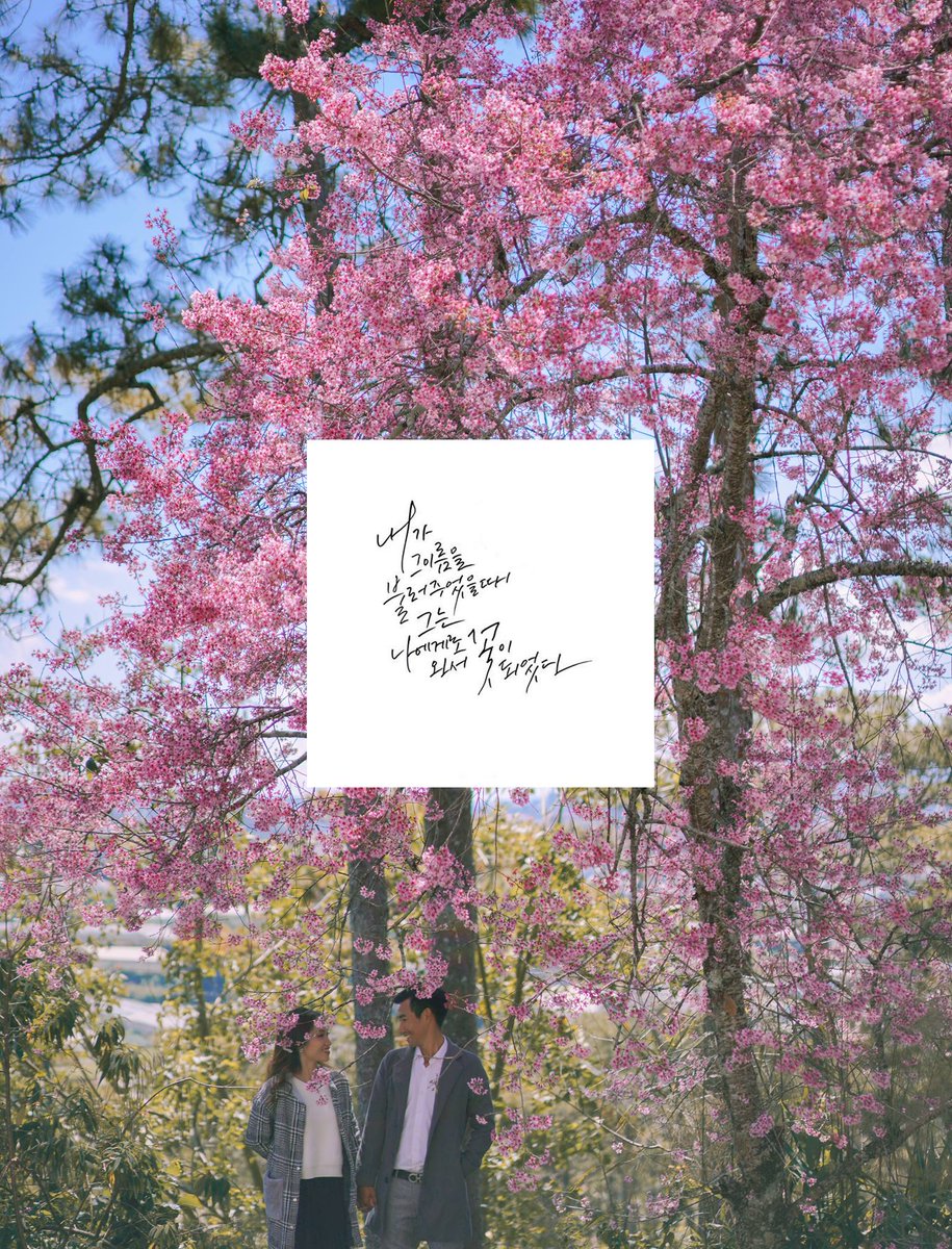 GolfValleyHotel's tweet photo. Cherry blossom season - Love season, feeling your Da Lat in spring by your own eyes, by your bare hands to remember that we are still in love, in peace and live fully every day.

Credit to Nguyen Thanh Luan
#GolfvalleyHotel
#Hotel
#UHMgroup
#Dalat
#cherryblossom https://t.co/8nt5giWFsY