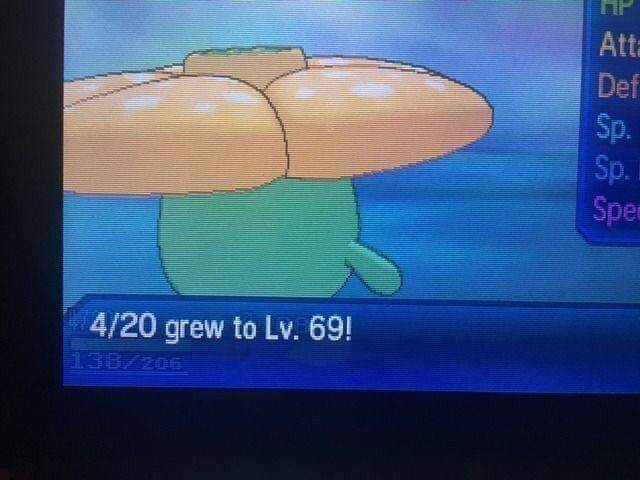I'm a master trainer