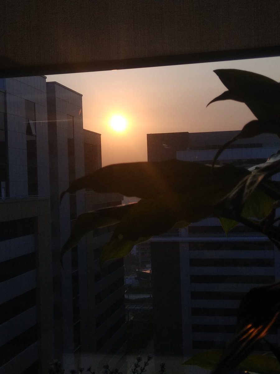 TweetRevanth's tweet photo. When you did amazing hackathon and woke up to this.. #hackathon8 #lifeatpega #pega #hyderabad https://t.co/URlgxRKmLG