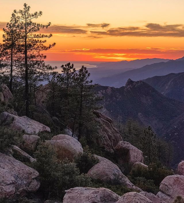 Visual_Griot's tweet photo. From this weekend’s epic uphill sunset #hike . My body aches 🥴 all over but well worth it .
—————————————————
#sunset over #santabarbara —————————————————
#santabarbarasunset #santabarbaramountains #nikonnofilter #benro #benroletsgo #mountainsarecall… https://t.co/cx4EYgdl3f https://t.co/poFR0Pccna