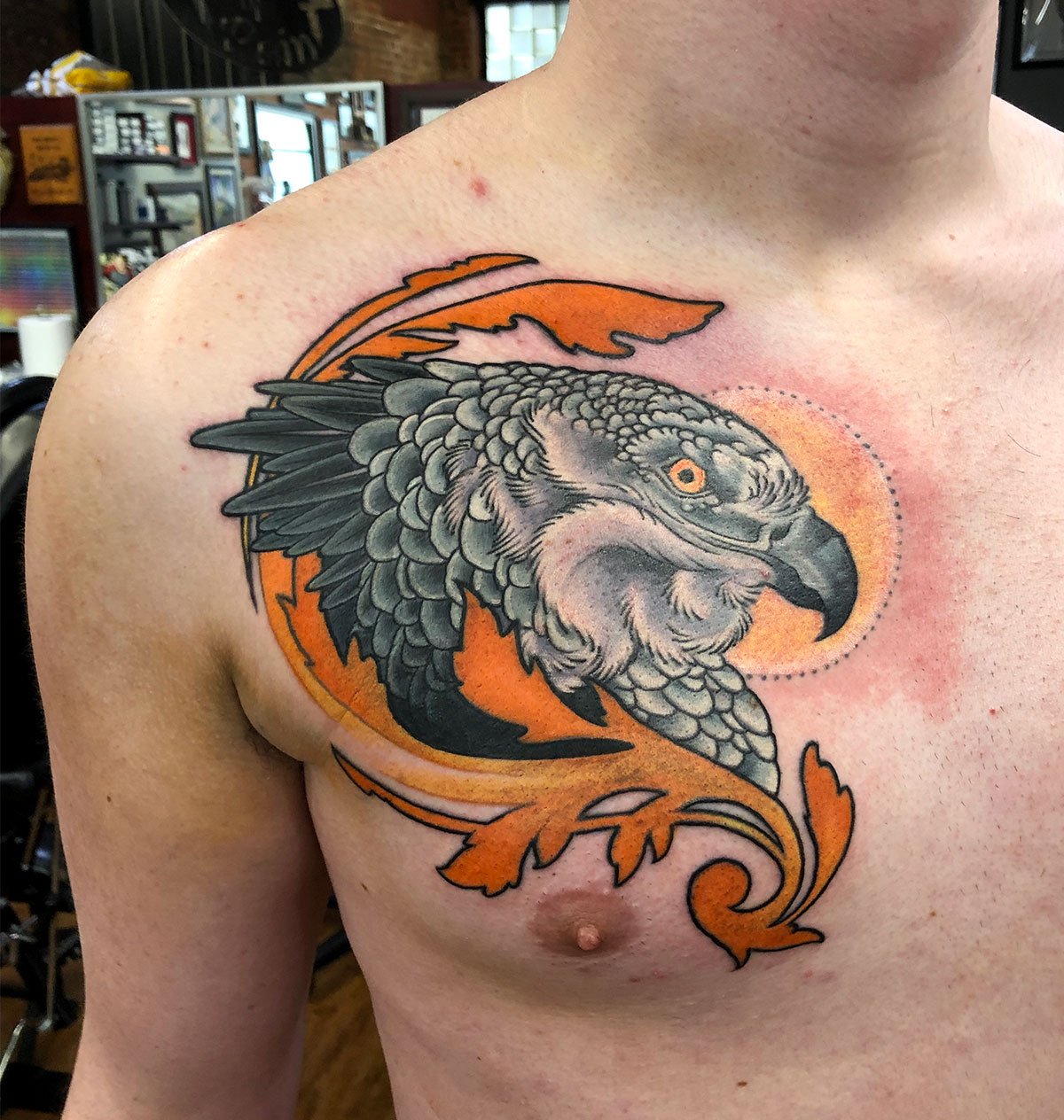 The Silver Key on X: Rad Harpy Eagle tattoo done by John Kautz