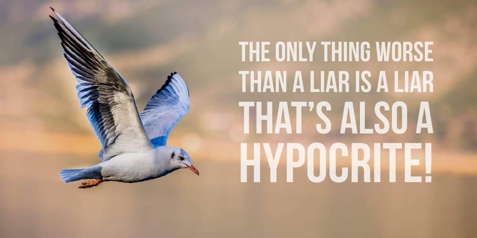 🄿🅄🄹🄸🄾🄽🄾 🄹🅂 tweet media