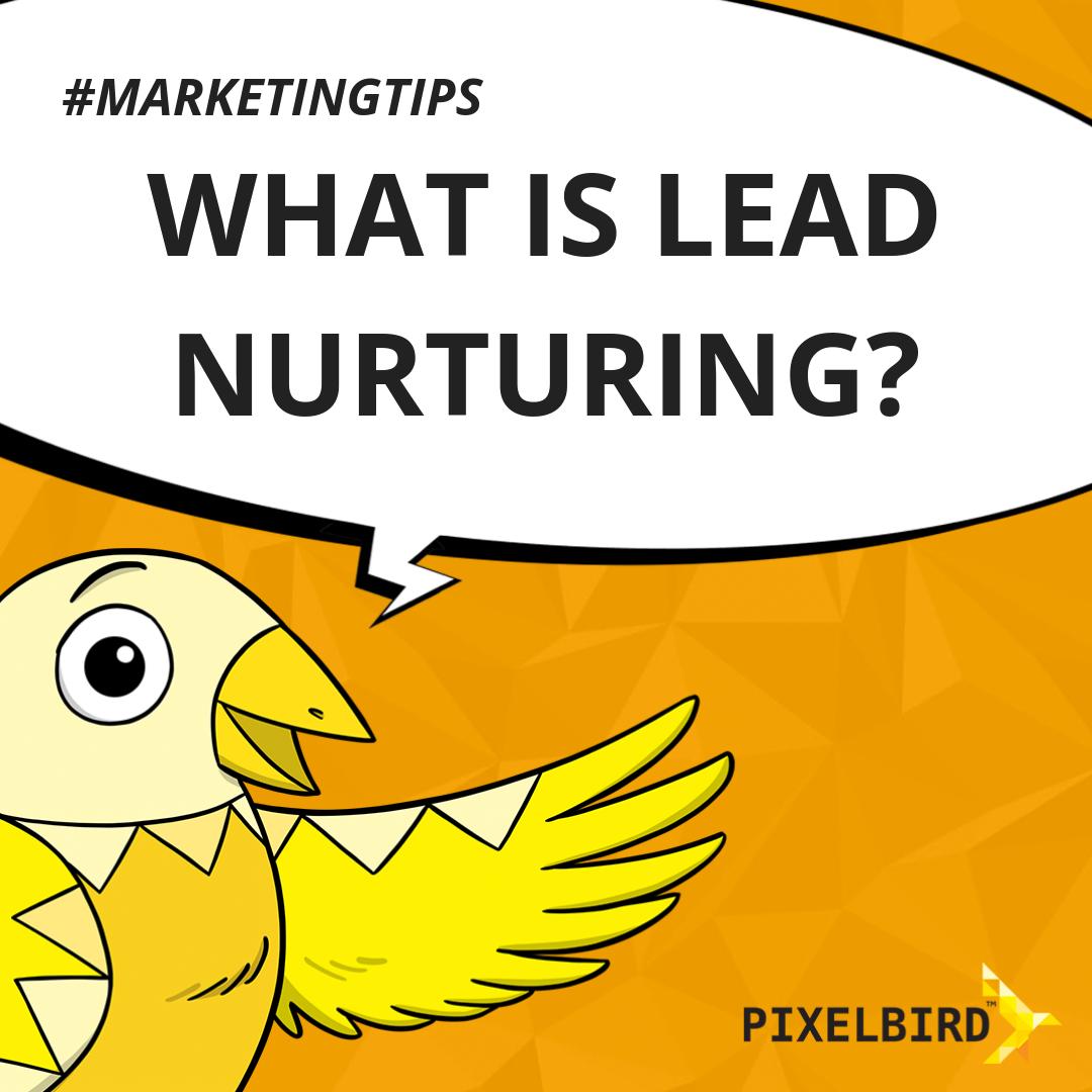 pixelbirdcomau's tweet photo. Lead nurturing is making sure a lead is qualified before they talk to your sales team to ensure they aren't wasting time on unqualified leads.
If you need help bringing leads to your business, contact us today! 📞 1300 650 813

#Pixelbird #WebsiteDevelopment #InboundMarketing https://t.co/tRlSGenXJD