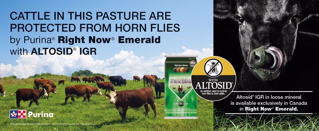 GaryBro51707435's tweet photo. First Day of Spring. Time to plan your pasture mineral program and Horn Fly control. Happy cows and calves, greater weaning weights and better breeding. All that and on sale at your Local Purina Dealer #purinaproactiv #cargillbeefcan https://t.co/X5Dg9QQ8s2