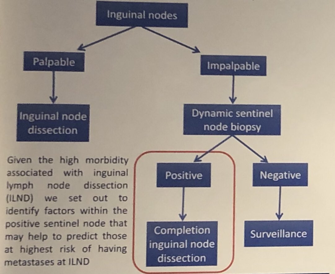 WayneLam_Urol's tweet photo. Our study showed only 20.5% #penilecancer patients with +ve #DSNB have further nodal mets. Size of tumour within sentinel node, percentage of tumour in harvested node, and presence of ECS predict non-sentinel node metastasis on completion iLND. #EAU19 https://t.co/CIKVAgGWF7