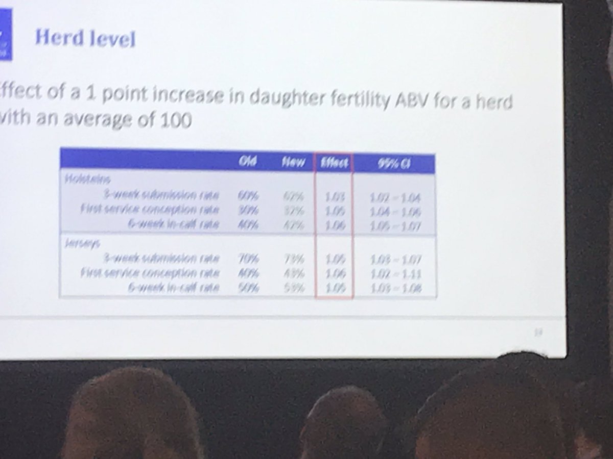billmorgan2019's tweet photo. Ee Cheng Ooi demonstrating that #genetics work at #HERD19AU improving cow fertility by using sires with positive daughter fertility breeding values #geneticprogress https://t.co/Mp6CAowuMy
