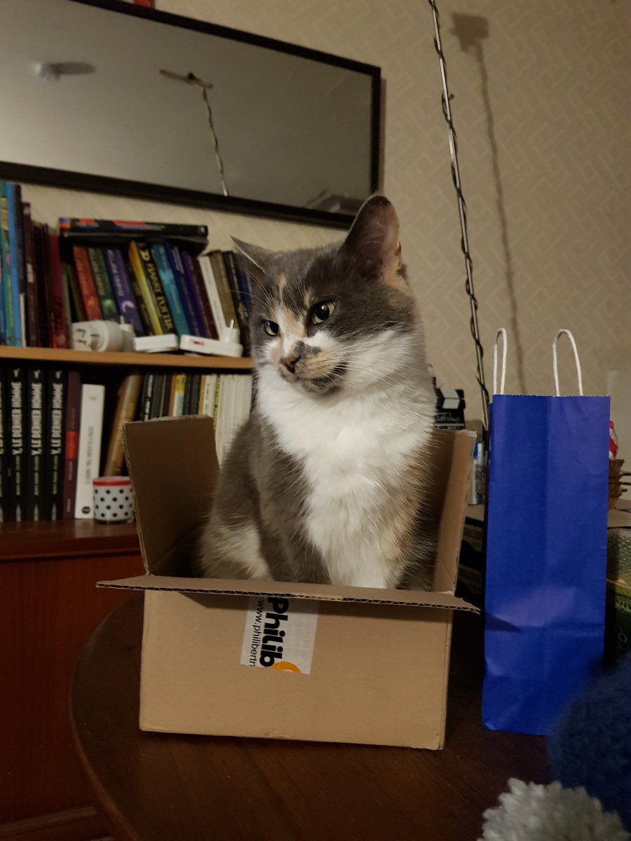 Lysandragon's tweet photo. Ok on arrête tout. Feuforeve a piqué le carton d'Hericendre. On a trouvé le nouveau visage du seum. https://t.co/YhltTN4FWw