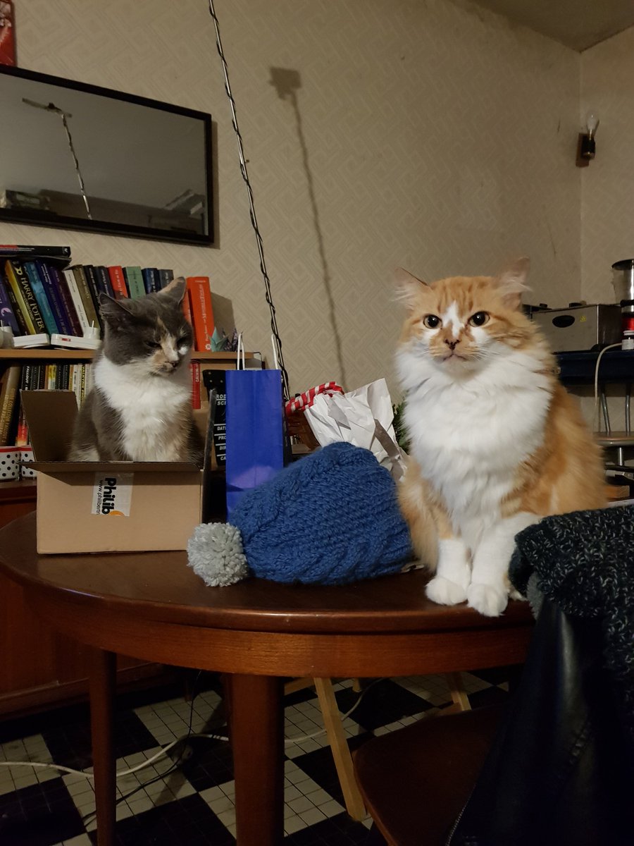 Lysandragon's tweet photo. Ok on arrête tout. Feuforeve a piqué le carton d'Hericendre. On a trouvé le nouveau visage du seum. https://t.co/YhltTN4FWw