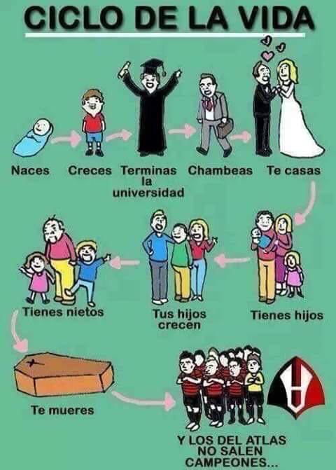 Me enviaron una imagen del ciclo de la vida...