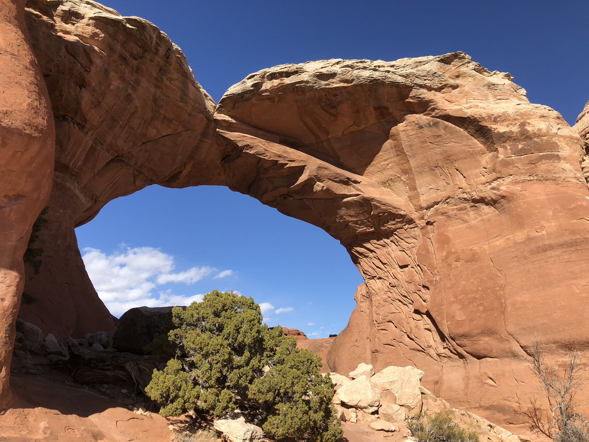 Meadsfabscience's tweet photo. Great day at @ArchesNPS! Hiking & exploring the arches made in the Entrada Sandstone layer. The park has 100s of arches, including #Delicate, #Tapestry & #Broken. We tried to start the day with the Milky Way under Turret Arch but the moon didnβt cooperate π#ScienceSpringBreak https://t.co/bGN1LjVUqv