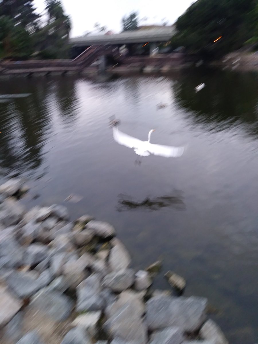 <a href="/MaysinPure/">Maysin Pure ("Laser Lights(Remix)” on Spotify now)</a> <a href="/ladygaga/">Lady Gaga</a> <a href="/iHeartRadio/">iHeartRadio</a> Attn.:<a href="/LadyGaga/">Lady Gaga</a>
Attn.:<a href="/bobby_campbell/">Bobby Campbell</a>